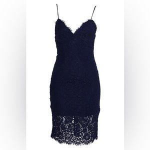 Bardot Navy Lace Cocktail Dress